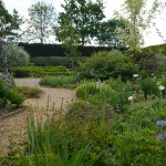 Norfolk Lavender gardens